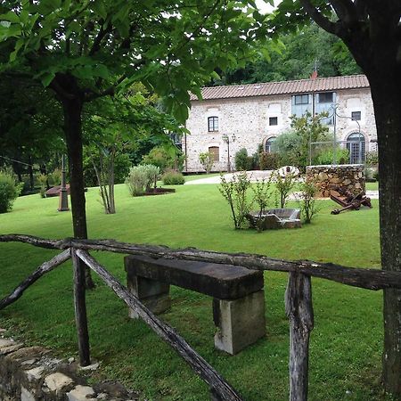 Lady Frantoio Toscano Corsanico-Bargecchia Exterior photo